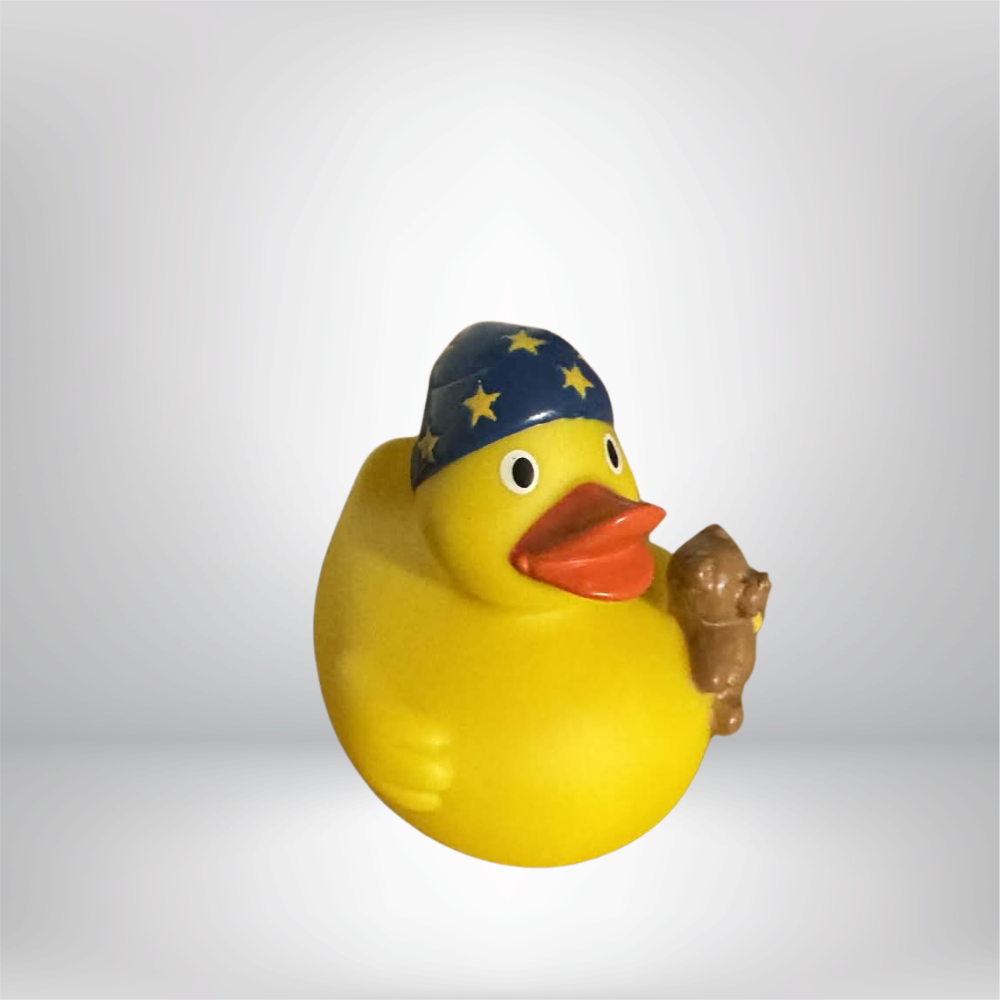 Nighttime Duck