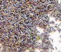 English Culinary Lavender Sachet Bags Food Grade Edible Cooking