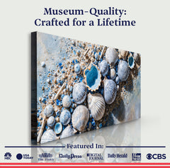 Sea Shells Modern Coastal Wall Art II