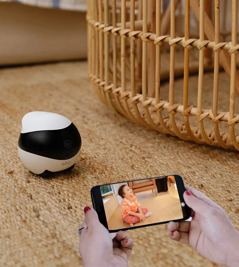 RoboView Mobile Security Cam