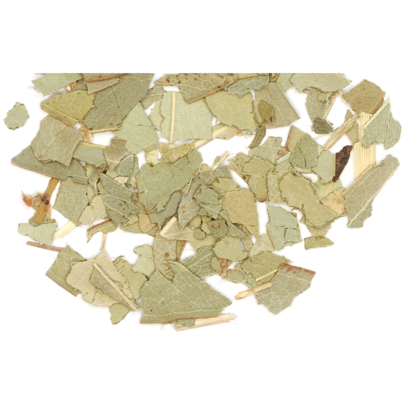 Eucalyptus