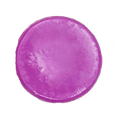 Lavender Shampoo/Conditioner