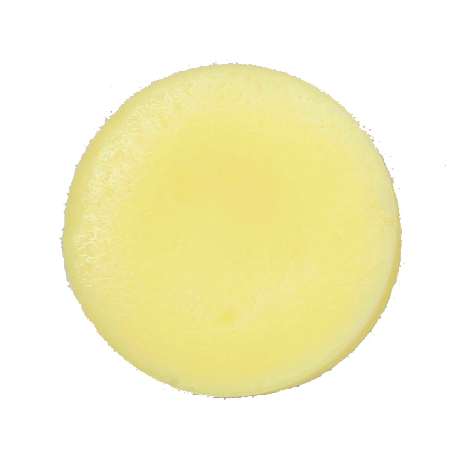 Lemon Shampoo/Conditioner