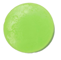 Nature's Minty Kiss