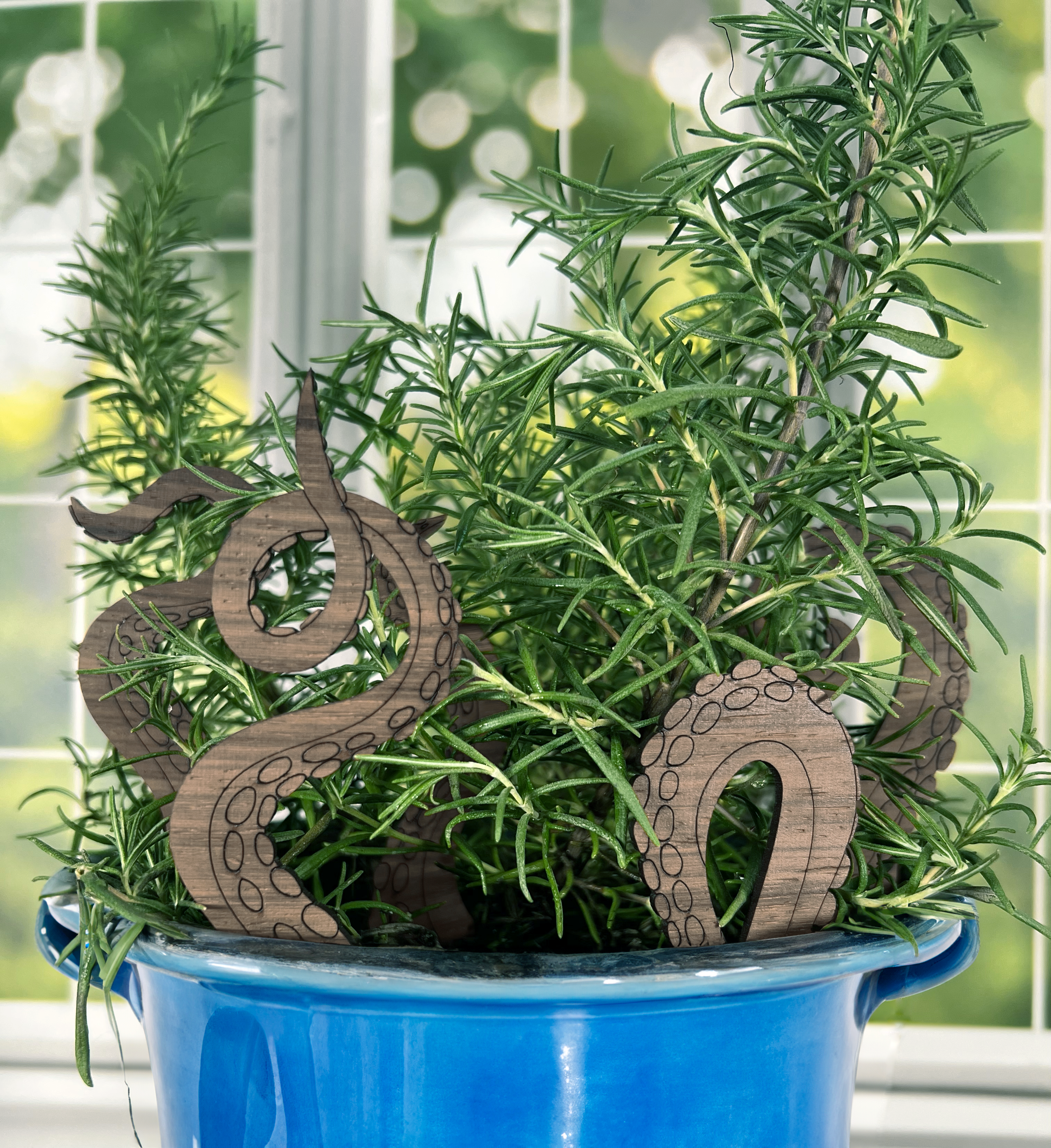 Octopus Plant Buddy - Plant Pick