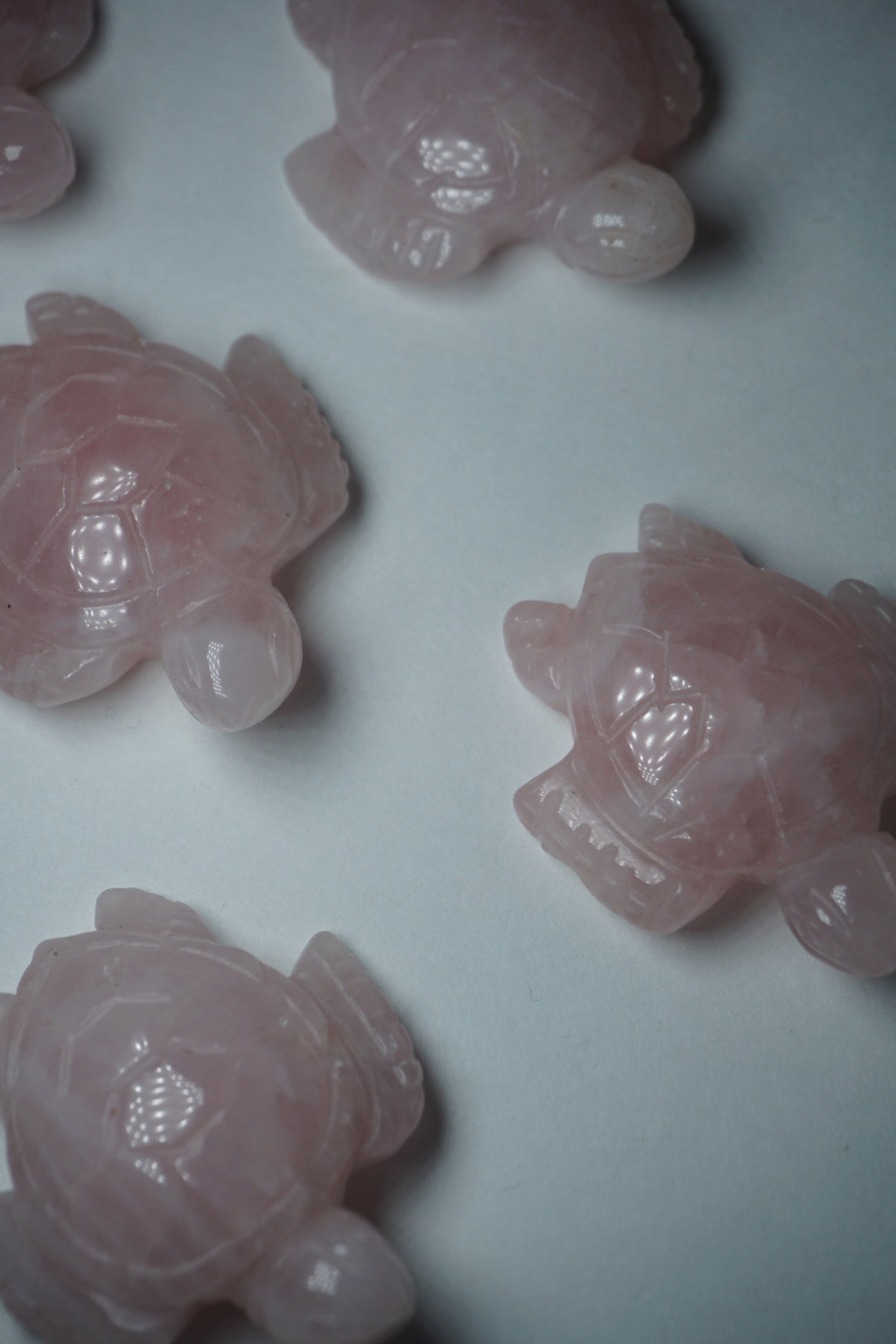 rose quartz crystal tortoise