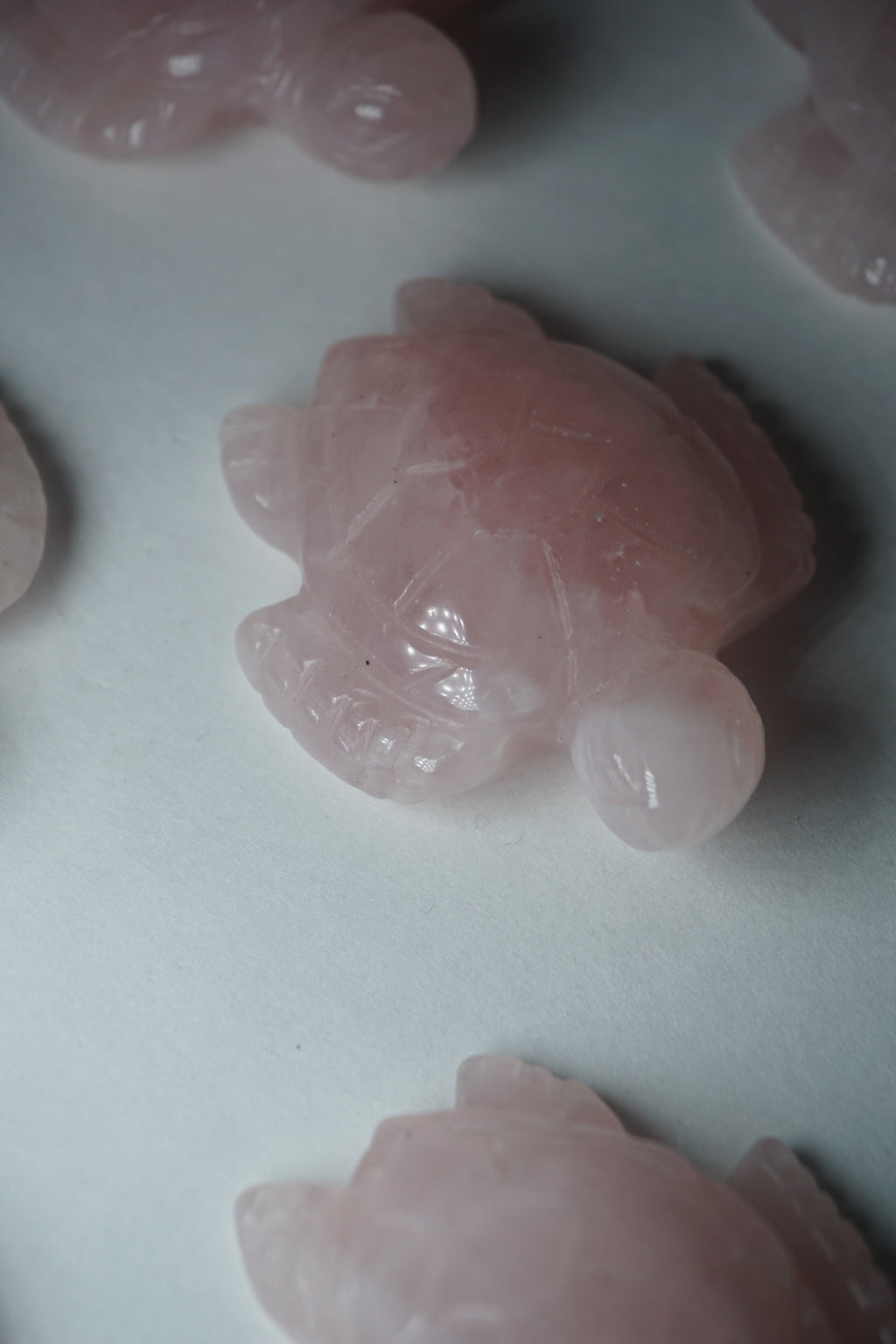 rose quartz crystal tortoise