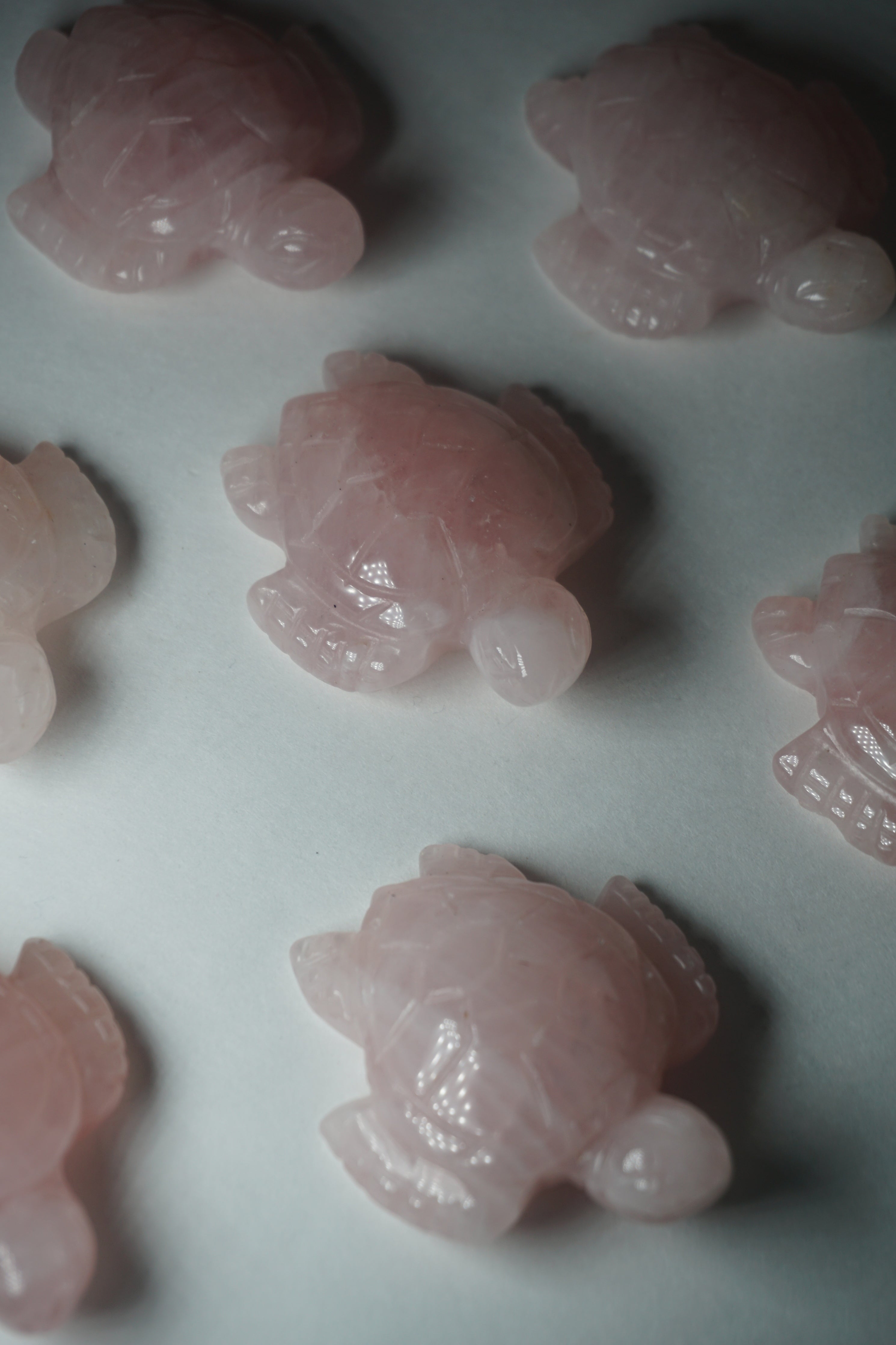 rose quartz crystal tortoise