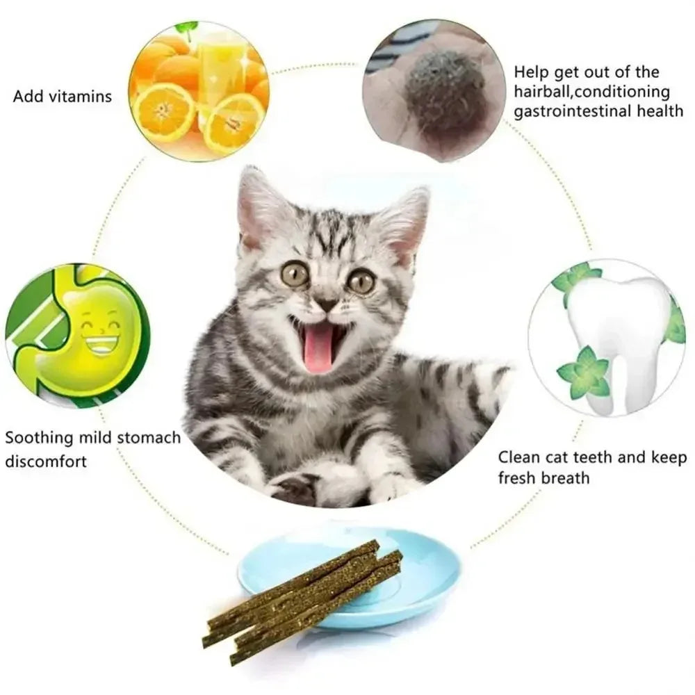 6-Pack Natural Matatabi (Silvervine) Cat Sticks with Mint – Teeth Cleaning Chew Toys for Cats