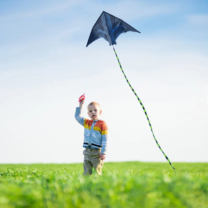 2m Delta Aircraft Kite – Large Beach & Camping Kite with 500cm (16.4 ft) Tail and 100M (328 ft) Line — Easy-Fly Foldable Kite for Adults & Teens