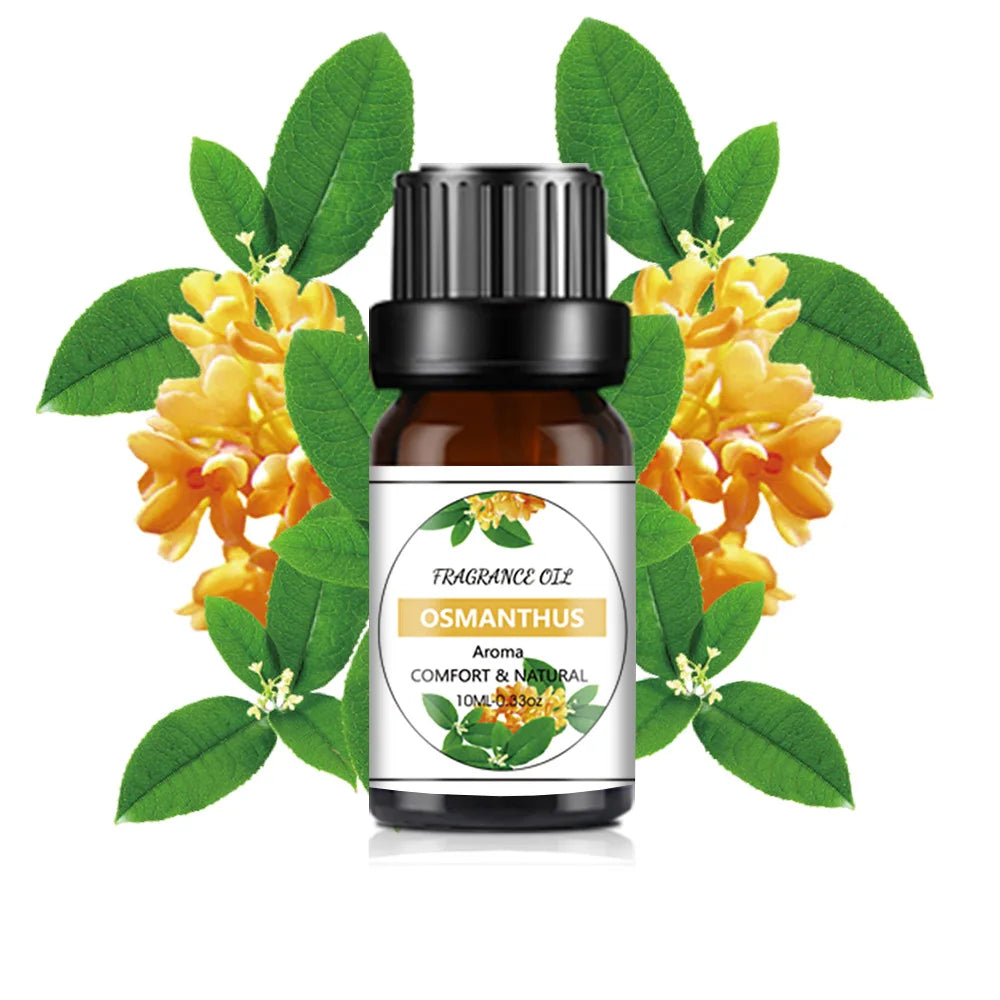 10ml (0.34 fl oz) Organic Essential Oil, 33 Scents Aromatherapy Fragrance Oil for Diffuser, Candle & Soap Making, Sleep