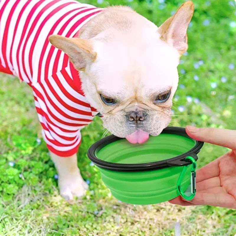 Collapsible TPR Travel Pet Bowl for Dogs & Cats — Portable Food & Water Dish (350/650/1000 ml | 12/22/34 oz)
