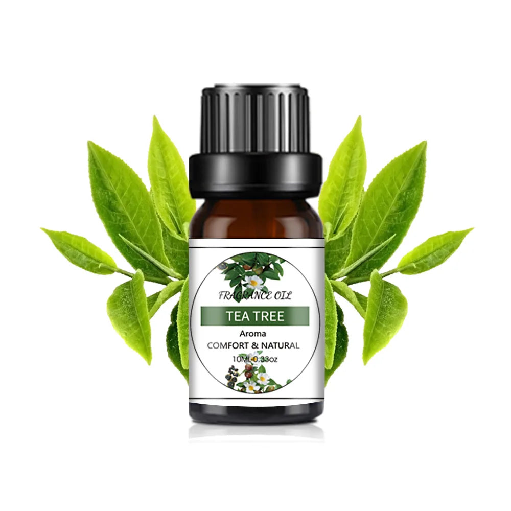 10 ml (0.34 fl oz) Mango & Pineapple Fragrance Oil for Diffuser, DIY Soap and Candle Making - Natural Plant-Based Blend