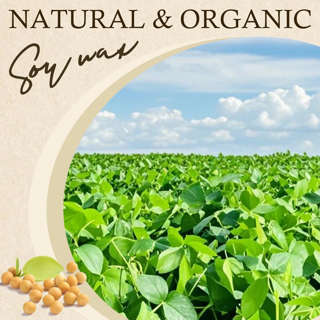 Natural Soy Wax Flakes for Candle Making — Additive-Free DIY Candle Supplies, 100g/200g/453g/1000g (3.5oz/7.1oz/16oz/35.3oz)