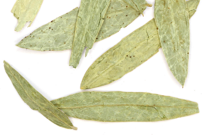Senna Leaf