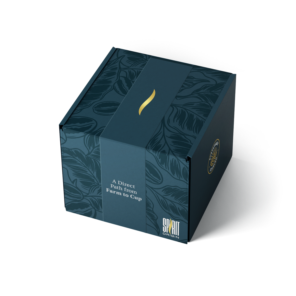 Single-Serve Pour-Over Drip Coffee Bags – Bourbon Medium Roast Specialty Coffee (10-Pack)