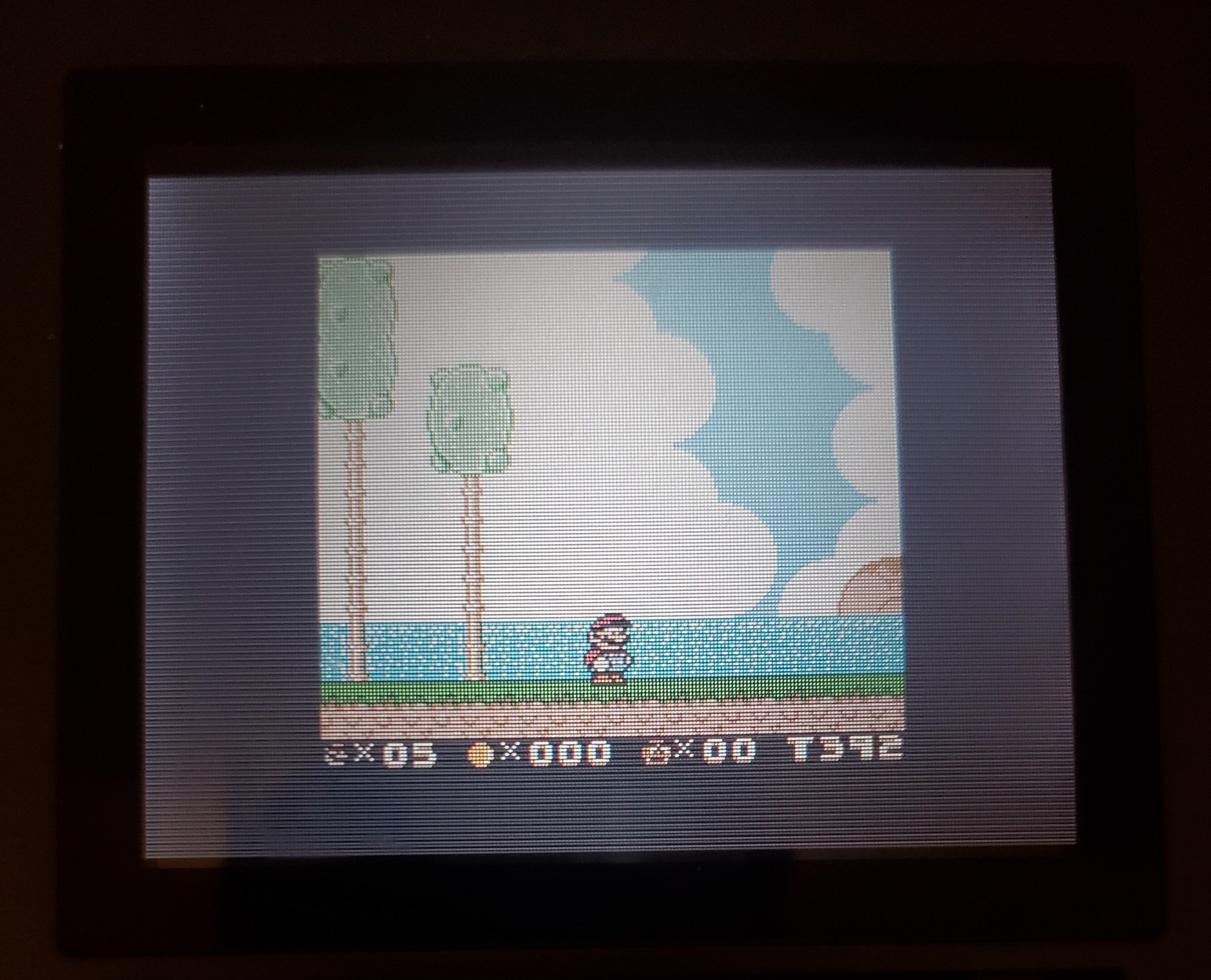 Super Mario Land 2, 6 Golden Coins DX GBA Video Game Boy Advance