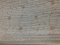 Beautiful Designer Custom Organza Saree