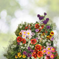 Outdoor STEM Kit - Wildflower Seeds for Hummingbirds & Monarch Butterflies - Perennial Mix - Pollinator Friendly