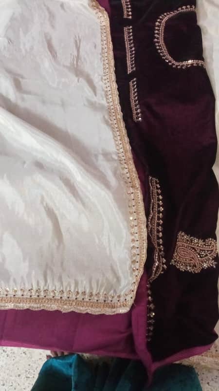 Exclusive Tissue Organza Beautiful White Saree