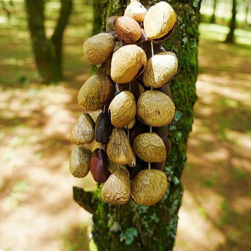 Hand Bell | Handmade Mixed Seed Shaker