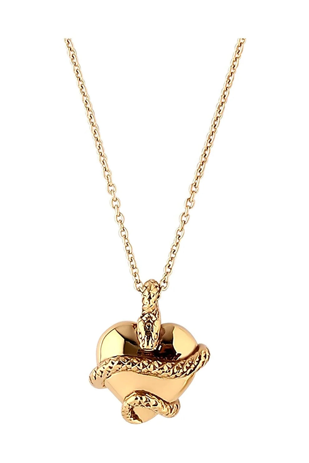 Wise Heart Charm Necklace Gold