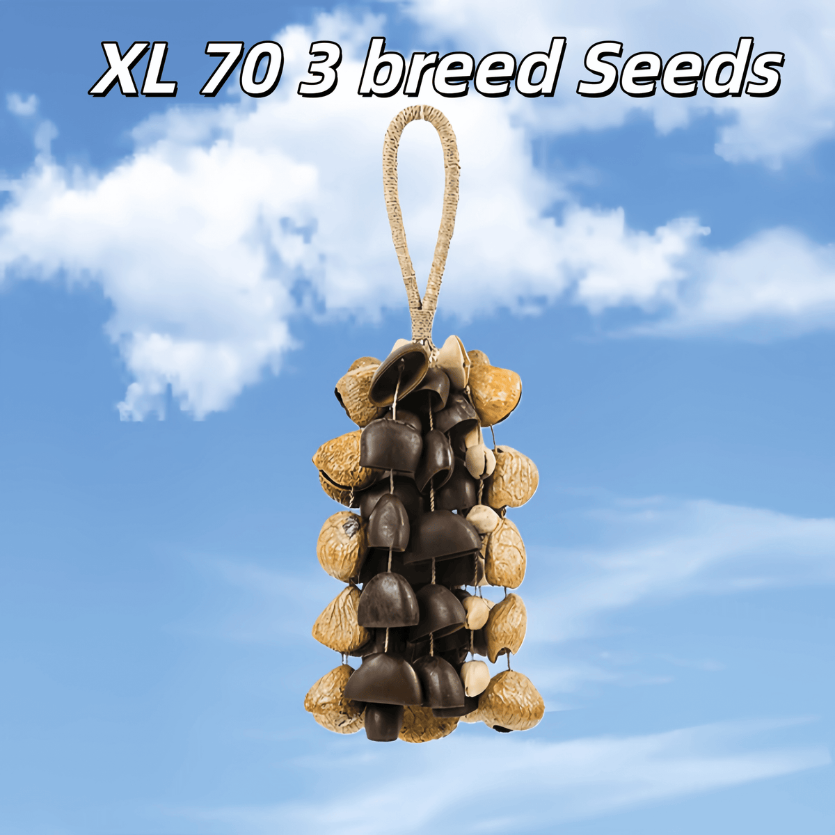 Hand Bell | Handmade Mixed Seed Shaker