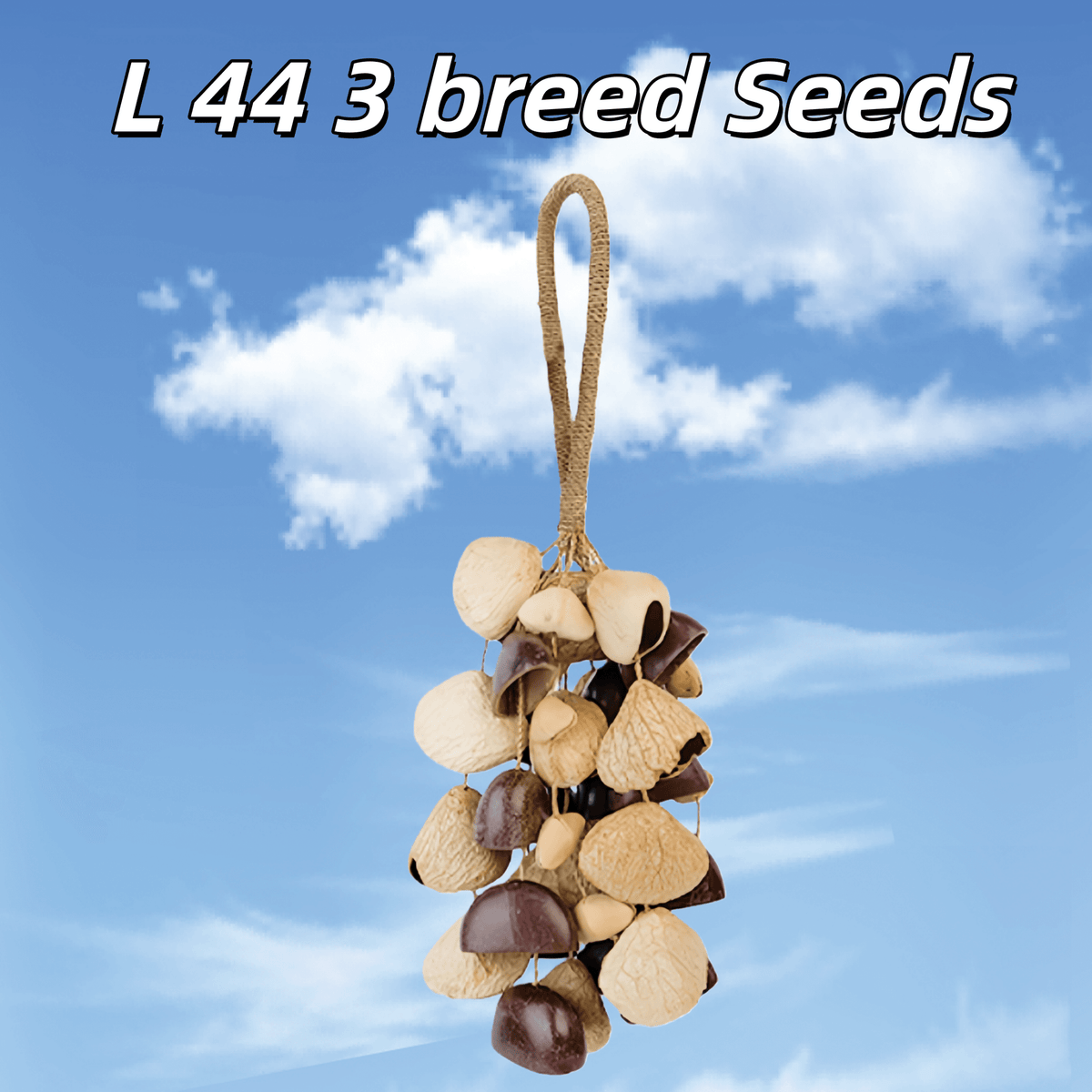 Hand Bell | Handmade Mixed Seed Shaker