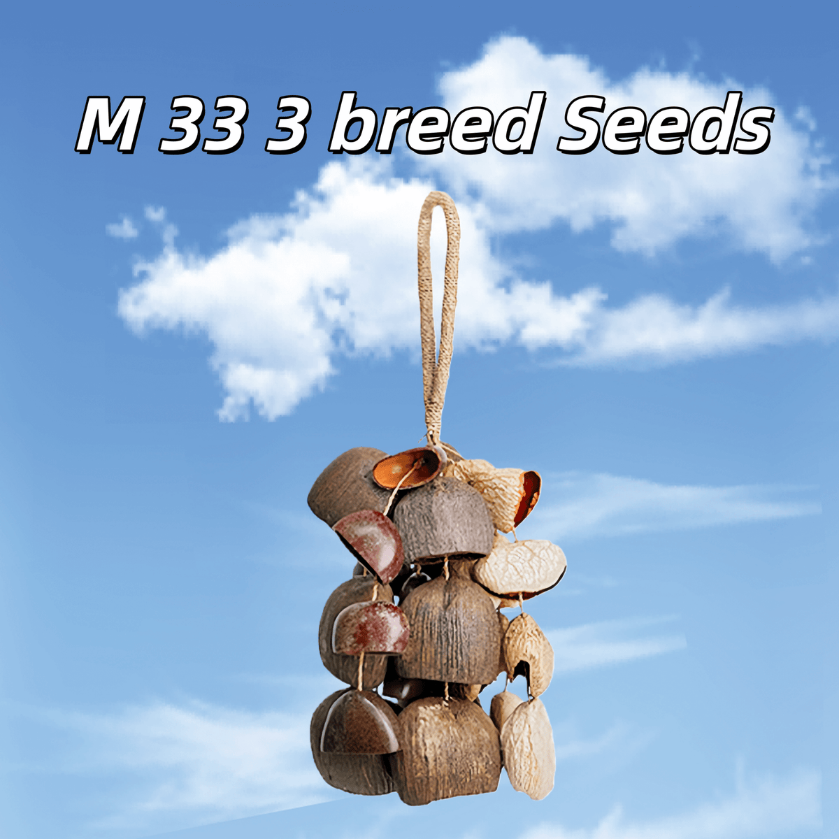 Hand Bell | Handmade Mixed Seed Shaker