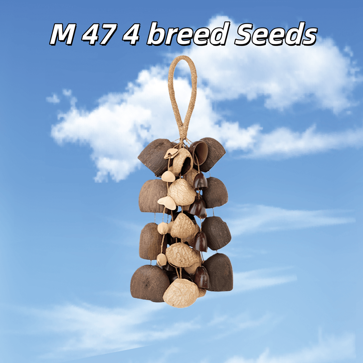 Hand Bell | Handmade Mixed Seed Shaker