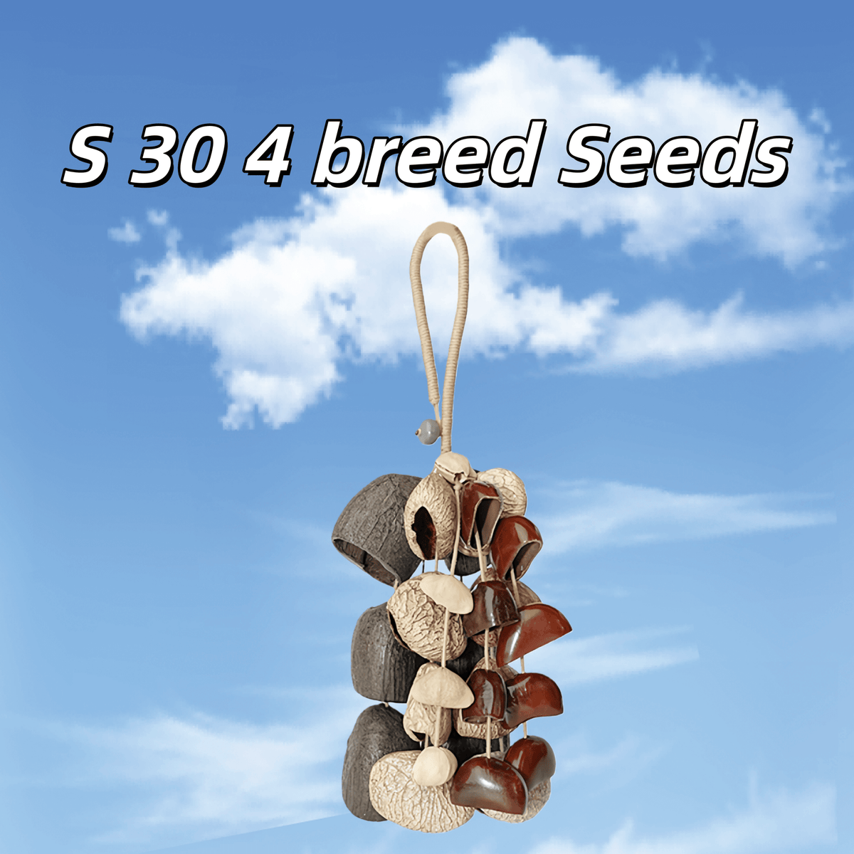 Hand Bell | Handmade Mixed Seed Shaker