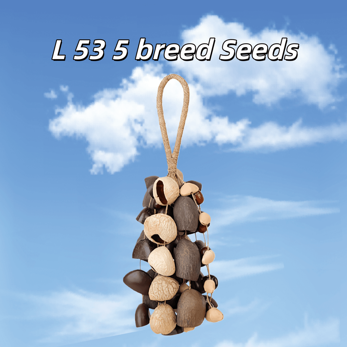 Hand Bell | Handmade Mixed Seed Shaker